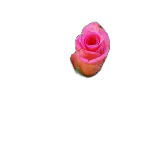 flower, jewelry, crown, staff transparent PNG cut-out
