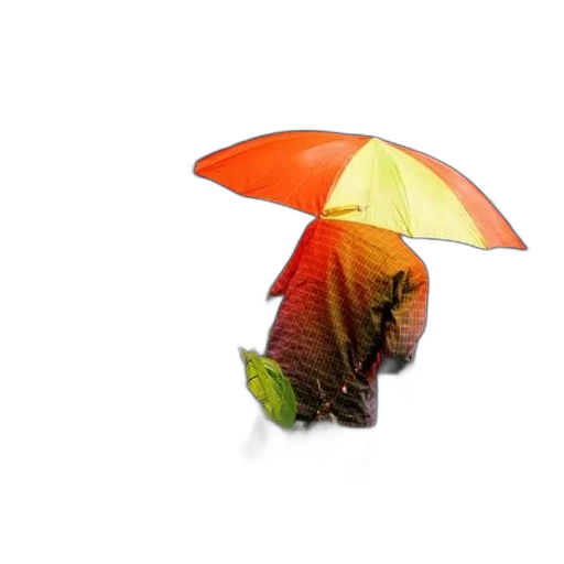 umbrella, hat, flower, staff transparent PNG cut-out