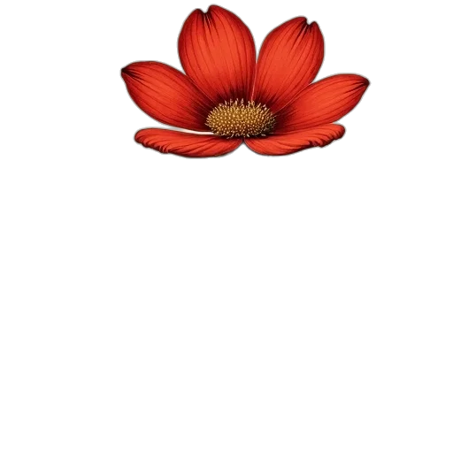 flower, crown, jewelry, hat transparent PNG cut-out