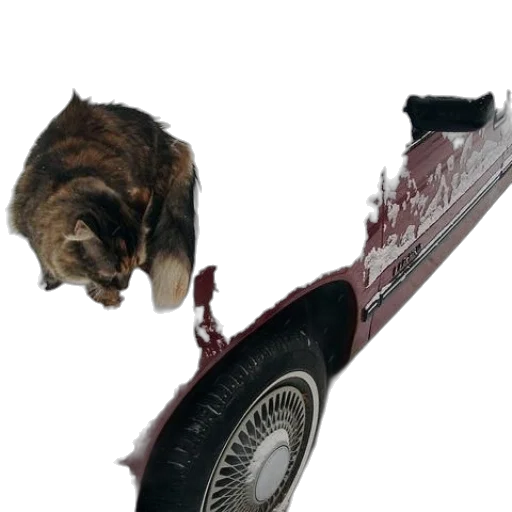 shoes, weapon, car, staff transparent PNG cut-out