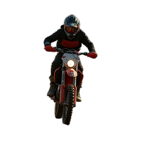 jacket, animal, 3d render, photorealistic transparent PNG cut-out
