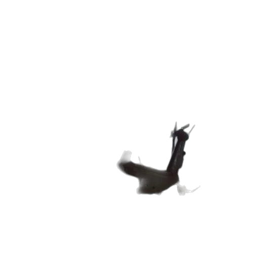 dragon, animal, creature, hair transparent PNG cut-out
