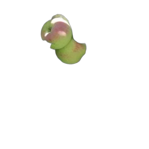 flower, food, creature, jewelry transparent PNG cut-out