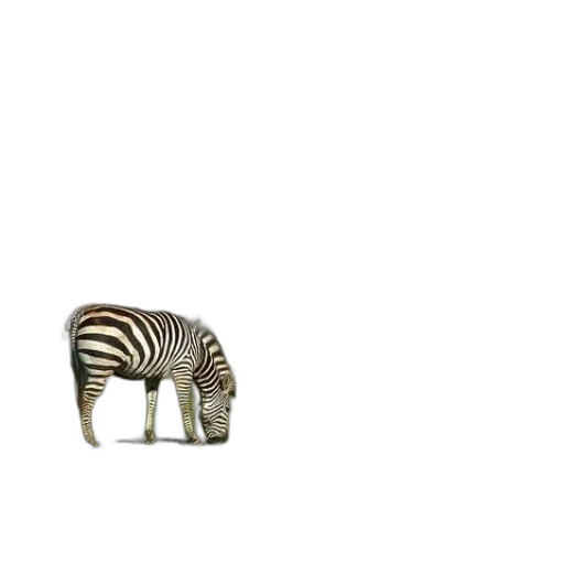 animal, furniture, creature, hat transparent PNG cut-out