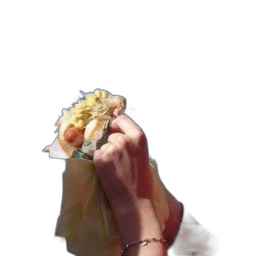 food, jewelry, flower, face transparent PNG cut-out