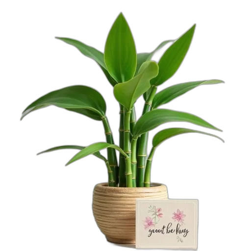 flower, photorealistic, 3d render, two transparent PNG cut-out