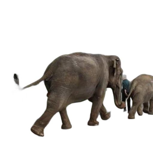 animal, 3d render, concept art, photorealistic transparent PNG cut-out