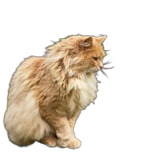 animal, creature, staff, crown transparent PNG cut-out