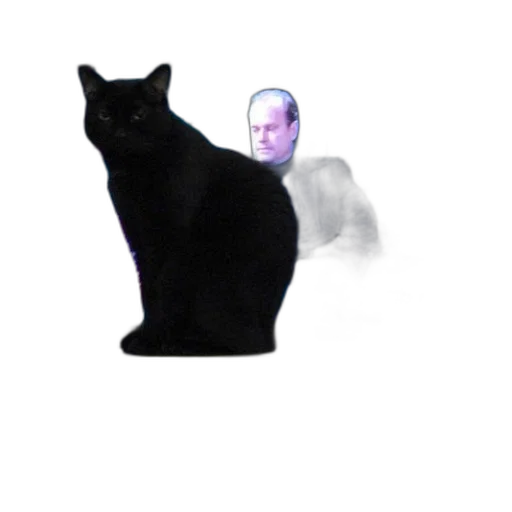 animal, creature, staff, face transparent PNG cut-out