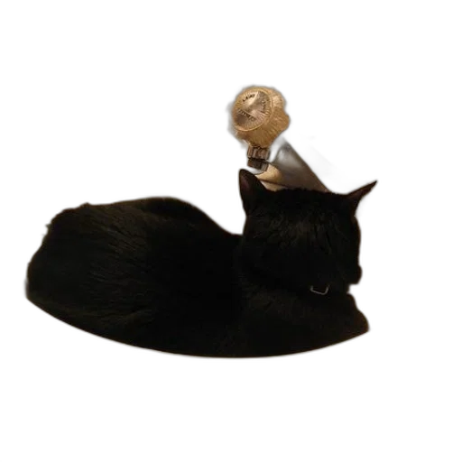 staff, jewelry, hat, crown transparent PNG cut-out