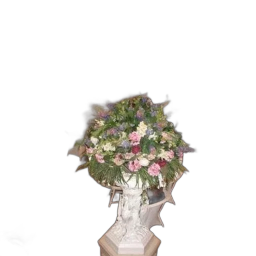 crown, flower, staff, jewelry transparent PNG cut-out