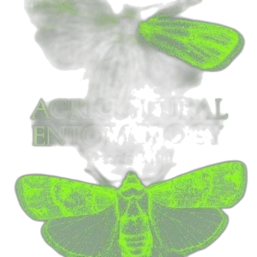 flower, animal, crown, creature transparent PNG cut-out
