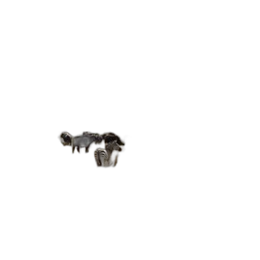 animal, jewelry, robot, hair transparent PNG cut-out