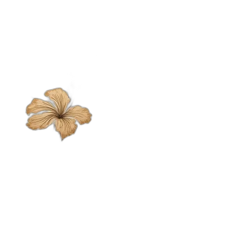 flower, jewelry, food, crown transparent PNG cut-out