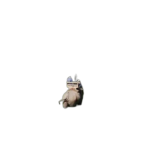 robot, hat, animal, crown transparent PNG cut-out