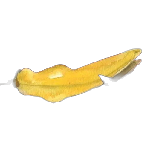 food, staff, weapon, hat transparent PNG cut-out