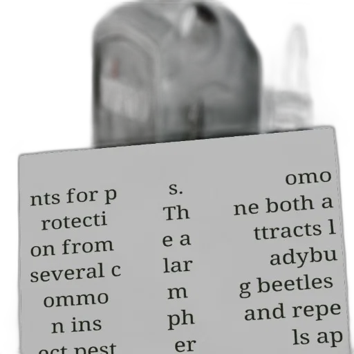 robot, tree, food, bottle transparent PNG cut-out