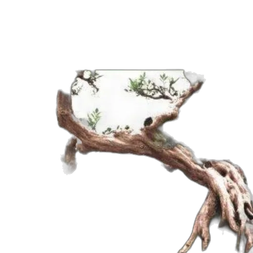 tree, jewelry, crown, furniture transparent PNG cut-out