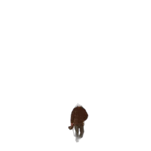 hair, creature, animal, hat transparent PNG cut-out