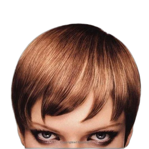 hair, face, hat, crown transparent PNG cut-out