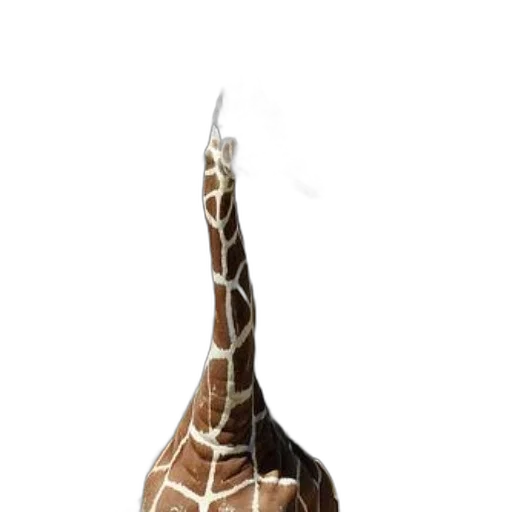 animal, bottle, hat, staff transparent PNG cut-out