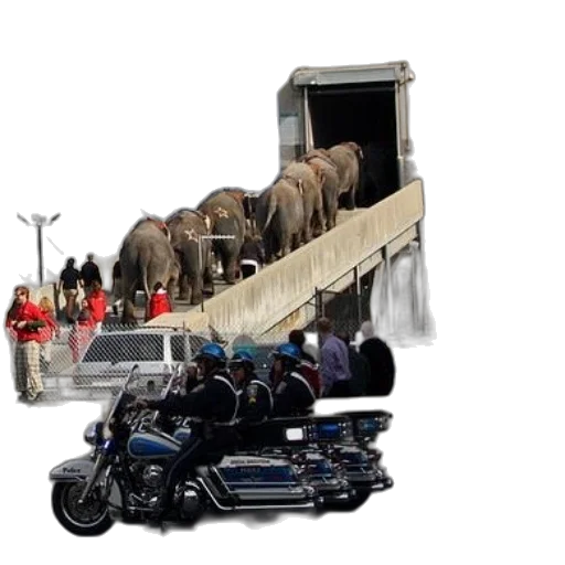 animal, car, staff, weapon transparent PNG cut-out