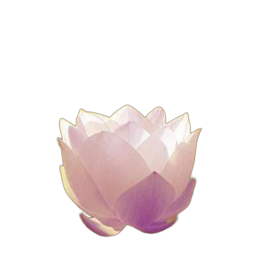 flower, crown, jewelry, mask transparent PNG cut-out