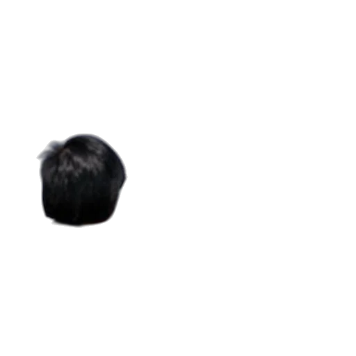 hair, hat, crown, mask transparent PNG cut-out