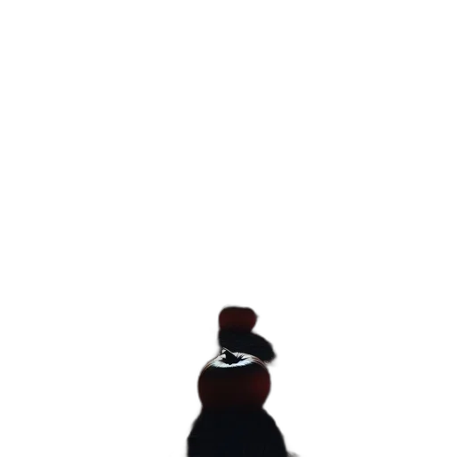 hat, robot, staff, animal transparent PNG cut-out