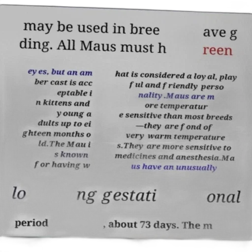 forest, text-based, image, discussing transparent PNG cut-out