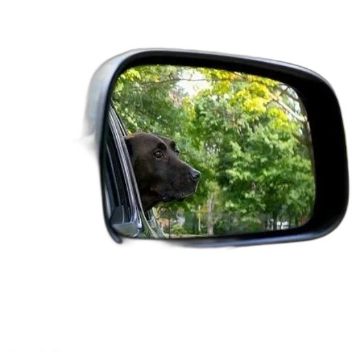 car, animal, face, hat transparent PNG cut-out