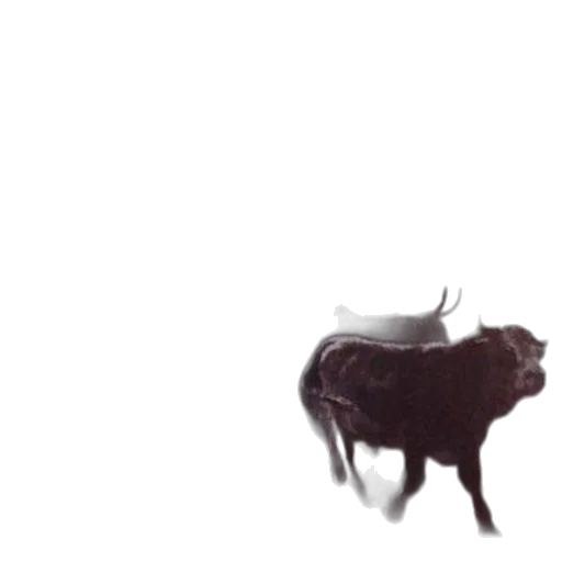 animal, creature, dragon, hair transparent PNG cut-out