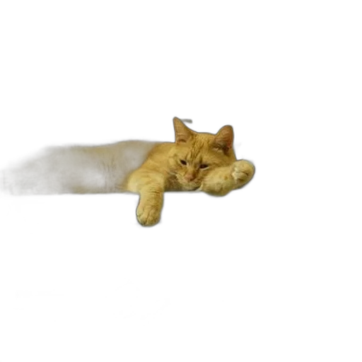 animal, staff, creature, furniture transparent PNG cut-out