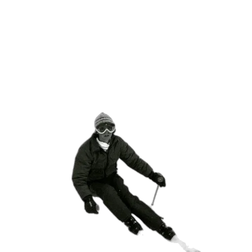 staff, umbrella, animal, weapon transparent PNG cut-out