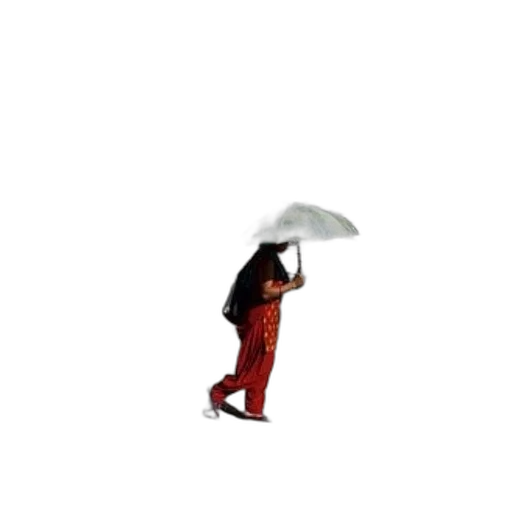 umbrella, jacket, hat, staff transparent PNG cut-out