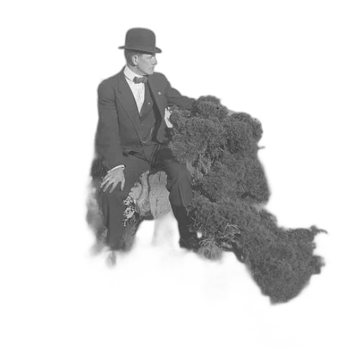 staff, animal, hat, creature transparent PNG cut-out