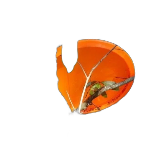 umbrella, jewelry, hat, mask transparent PNG cut-out