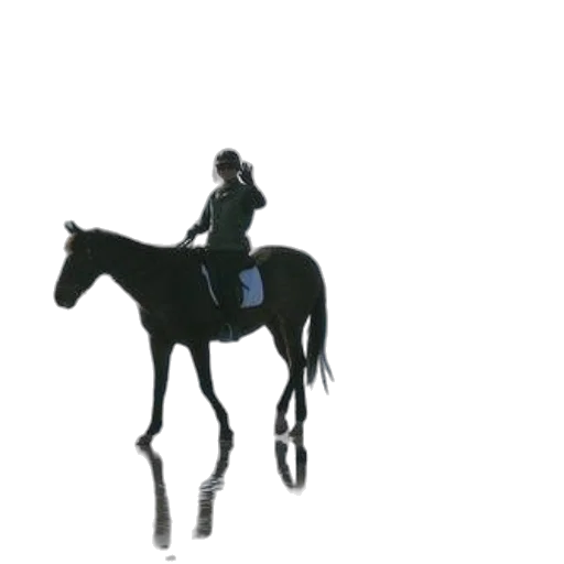 staff, animal, crown, jacket transparent PNG cut-out