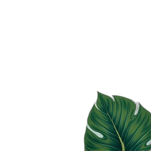 flower, tree, hair, crown transparent PNG cut-out
