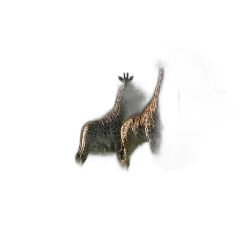 animal, dragon, creature, hair transparent PNG cut-out