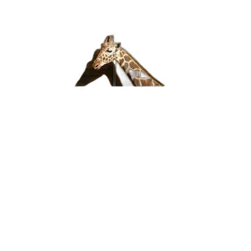 jewelry, sword, crown, shoes transparent PNG cut-out