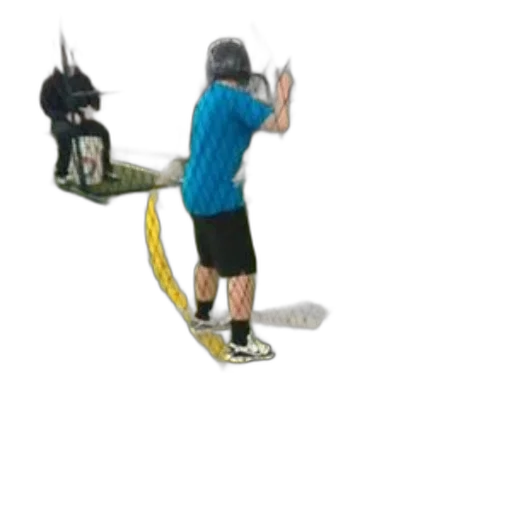 staff, animal, weapon, creature transparent PNG cut-out