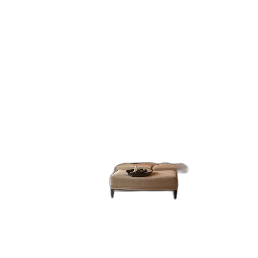 furniture, shoes, hair, animal transparent PNG cut-out