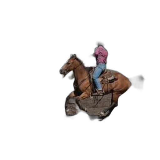 staff, hat, animal, jacket transparent PNG cut-out