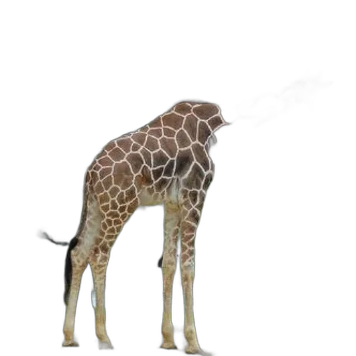 animal, creature, staff, umbrella transparent PNG cut-out