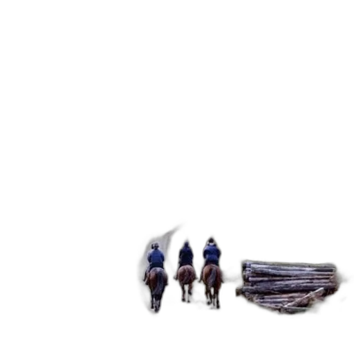 shoes, hair, staff, hat transparent PNG cut-out