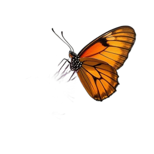 animal, creature, crown, flower transparent PNG cut-out