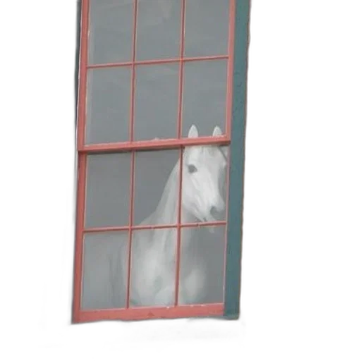 animal, furniture, creature, dragon transparent PNG cut-out