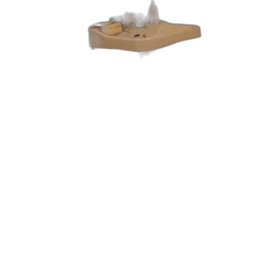 shoes, furniture, animal, hat transparent PNG cut-out