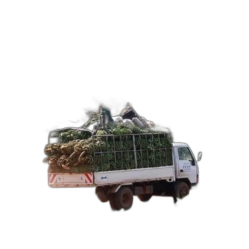 car, food, truck, loaded transparent PNG cut-out